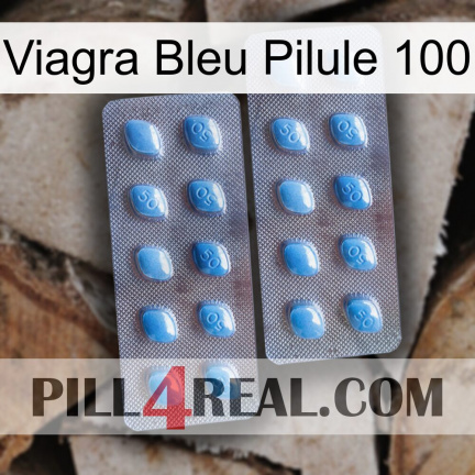 Blue Viagra Pill 100 viagra4